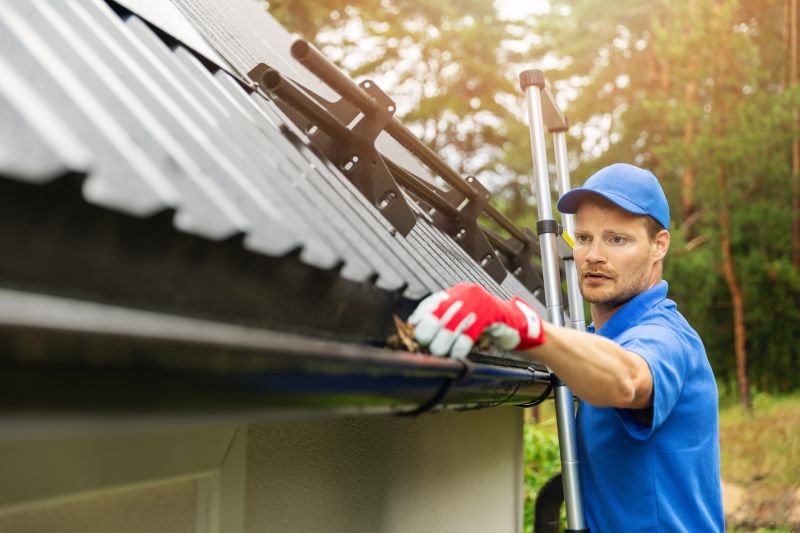 Gutter Cleaning in Baltimore, MD