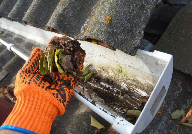 Gutter Cleaning in Rochester, NY