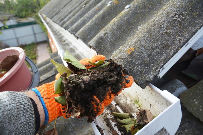 Gutter Leaves Removal in Annapolis, MD