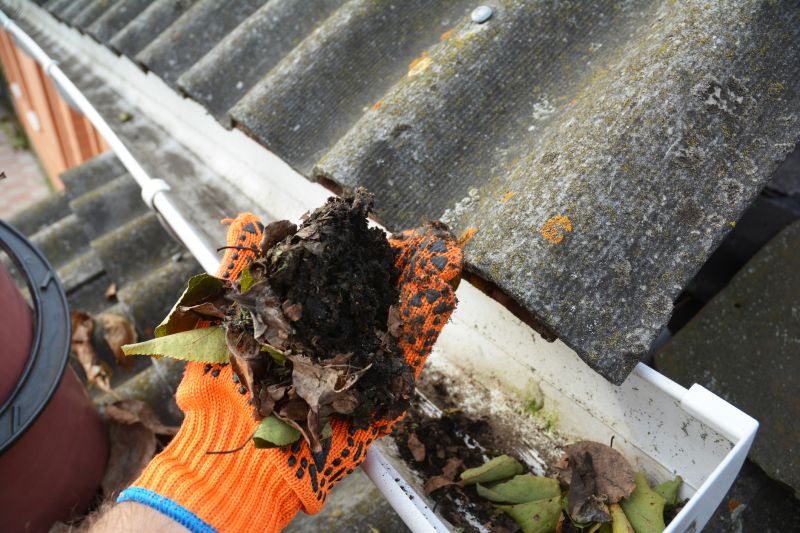 Gutter Pine Needle Removal in Frederick, MD