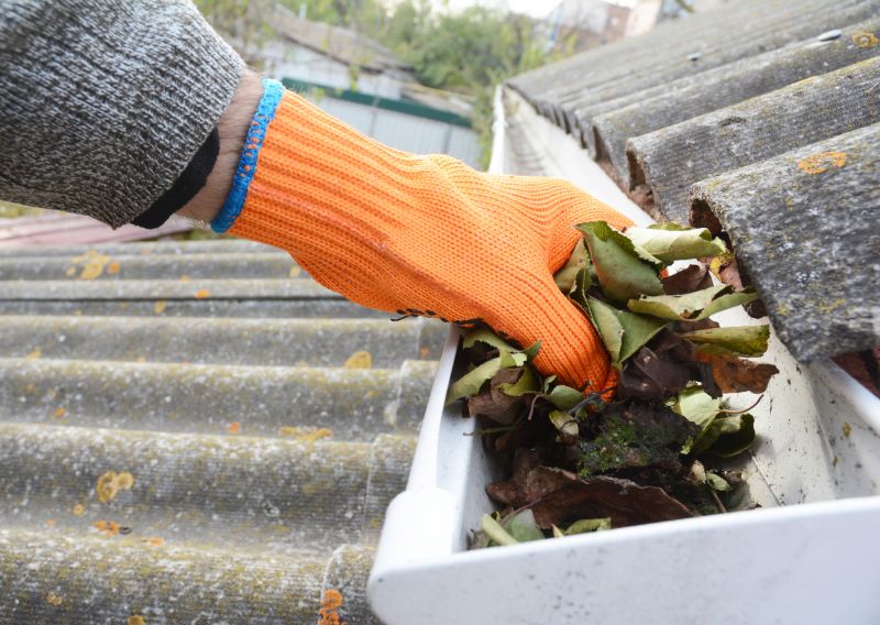 Gutter Pine Needle Removal in Annapolis, MD