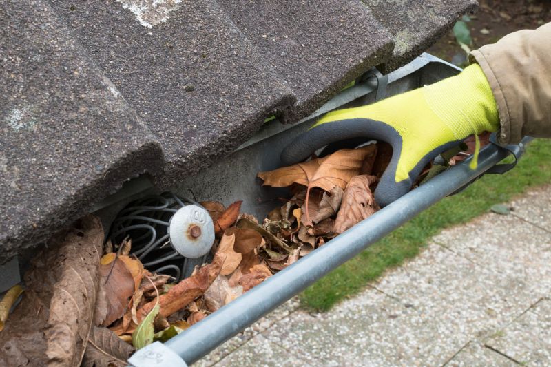 Gutter and Roof Cleaning