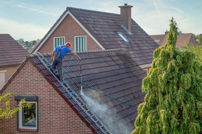Products For Roof Washing Service in use