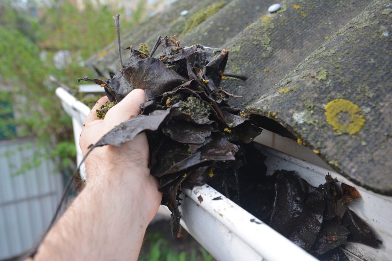 Roof Gutter Cleaning in Monmouth County, NJ