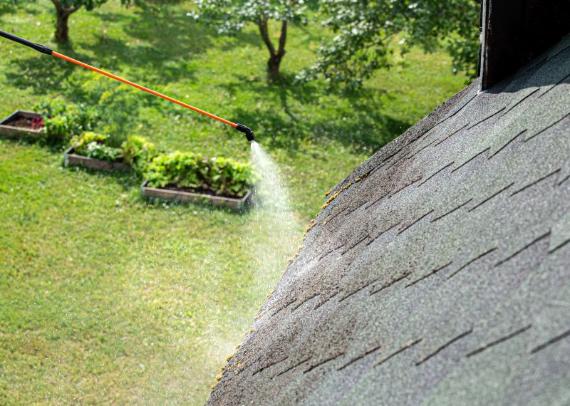 Roof Stain Removal in Vancouver, WA