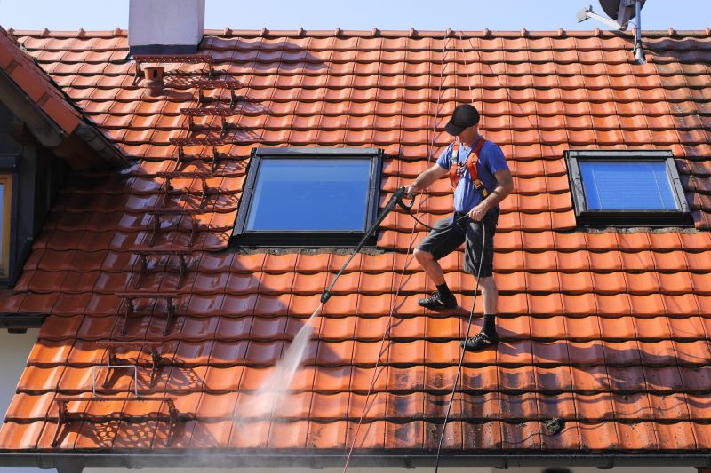 Roof Washing Service
