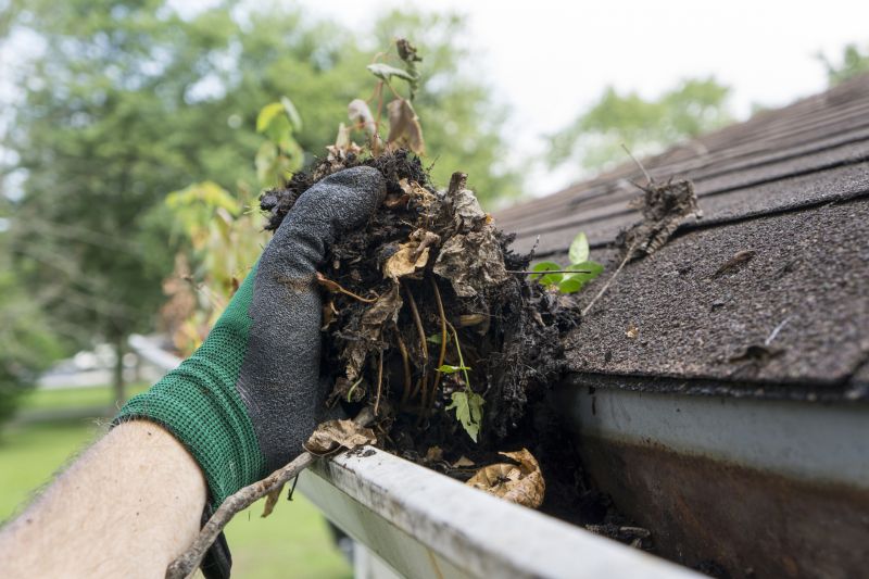 Roof Washing Service Cost — Cost of Roof Washing Service