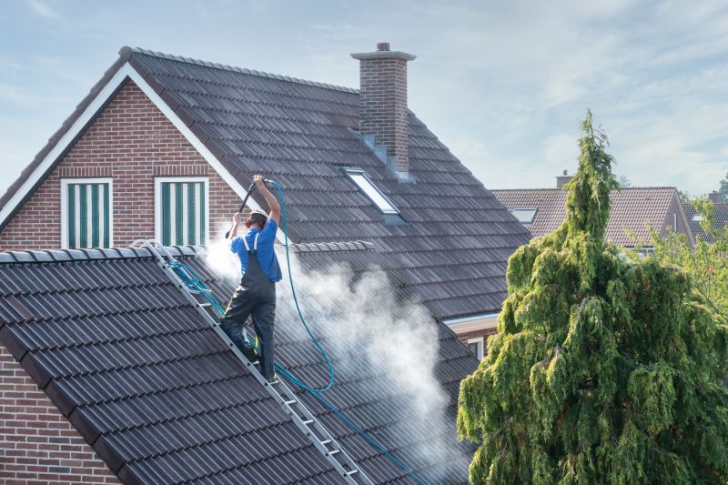 Roof Washing Service