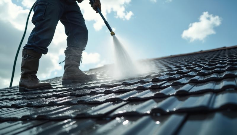 Roof Washing Service