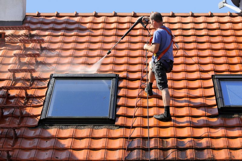 Roof Washing Service