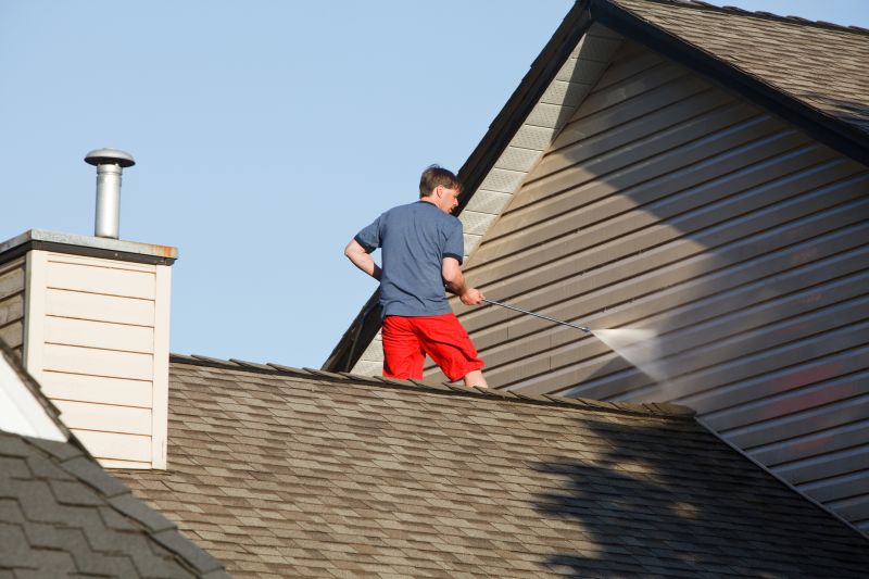 Roof Washing Service