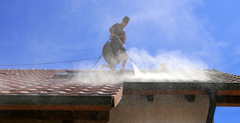 Roof Washing Service